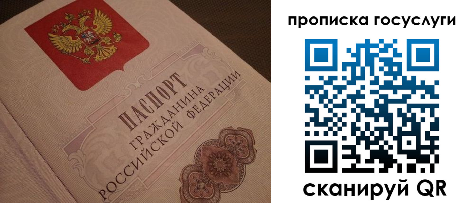 прописка для работы в Петропавловске-Камчатском