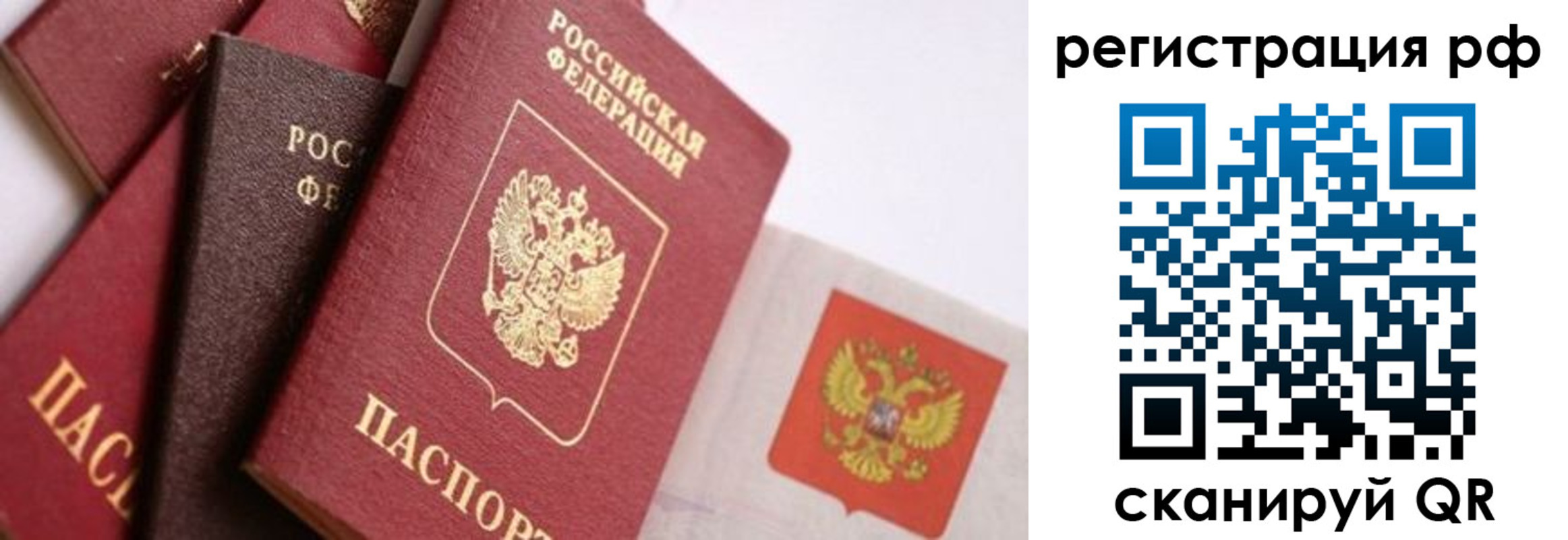 временная регистрация госуслуги в Петропавловске-Камчатском